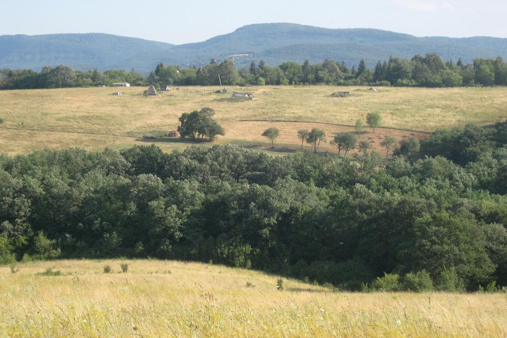 Villa Harangvirág 36 Faház Kismaros Esterno foto